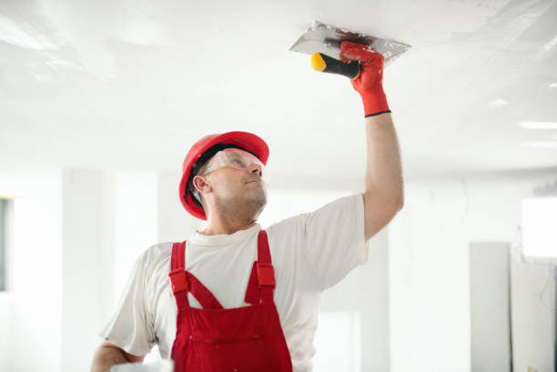 Best Drywall Crack Repair  in Sandstone, MN